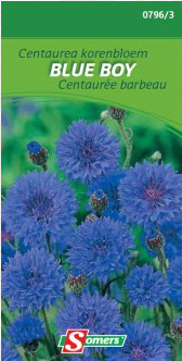 S07963 Centaurea Korenbloem Blue Boy Eénjarig; Fel vertakte plant met dubbele, hevige blauwe bloemen op lange stengels.  Op kweekbed zaaien en verplanten op 30 cm afstand.  Men mag ter plaatse zaaien en dan uitdunnen. Gemakkelijke teelt.  Korenbloemen groeien op alle gronden.  Vraagt zon.  Centaurea korenbloem blue boy