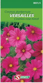 S08313 Cosmos Donkerroze Versailles Gemakkelijke teelt. Eénjarig. Deze prachtige Cosmos met donkerroze bloemen kleuren uw tuin de hele zomer lang. Voor snijbloemen of hoge borders. Zaaien in maart-april op kweekbed en ter plaatse planten eind april. Eind april-mei ter plaatse zaaien en uitdunnen. Ook kan rechtstreeks ter plaatse gezaaid worden na 15 mei. Grote bloemen als enkelbloemige dahlia's.


hoogte :
90 cm Cosmos donkerroze versailles