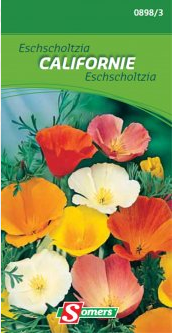 S08983 Eschscholtzia Californie De eschscholzia is zeer gemakkelijk te zaaien en gedijt op alle gronden en is tevens geschikt voor het zeeklimaat. Zaai breedwerpig op borders, in rotstuinen of massieven. De snelle groei zal u schitterende bloempjes geven, gedragen door een plant met zeer gekarteld blad.


hoogte :
30 cm Eschscholtzia van californie
