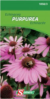 S10583 Echinacea Zonnehoed Grote bloem (8 cm). Rechtstaande plant met fijne maar sterke stengels. Zeer lange bloeitijd. Overblijvend. Zaaien op kweekbed, verspenen en uitplanten op 30 cm. Overwinteren op bescherm kweekbed. Vervroegde bloei.


hoogte :
100 cm Echinacea Purpurea