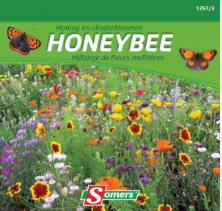 S12573 Honing- en Vlinderbloemen Niet alleen zult u een zomerlang gecharmeerd zijn door het gevarieerd kleurenpallet van deze mengeling, maar bijen en vlinders zullen u dankbaar zijn. Samenstelling: Duizendblad wit - Dagschone mix - Nachtschone - Korenbloem Naline dubbele mix - Margriet Meikoningin - Meisjesogen lage mix - Cosmos lage mix - Cosmos Sulphureus mix - Digitale hyb. Excelsior mix - Gaillarda mix - Muurbloem enkel mix - Vlasbloem blauw vaste plant - Thlaspi wit - Zinnia lilliput sunbow mix. Deze mengeling van honing en nectarrijke planten wordt breedwerpig gezaaid (eventueel mengen met wit zand). De zaadjes licht inharken en aandrukken. Deze verpakking volstaat voor ong. 25 m².



hoogte :
60 cm Honing en Vlinderbloemen
