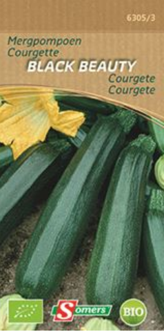 S63053 Be-Bio-02 Courgette Black Beauty  Be Bio Courgette