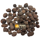 ARGEX8/16GEL Argex hydrokorrel 8/16 mm (rond) geleverd <!DOCTYPE HTML PUBLIC "-//W3C//DTD HTML 4.0 Transitional//EN">
<html><head>
<meta content="text/html; charset=unicode" http-equiv="Content-Type" />
</head>
<body>Argex korrels worden gemaakt van Boomse klei die gaat expanderen onder 
temperaturen van 1100°C tot kleine ronde bolletjes. Het belangrijkste kenmerk is 
een lage dichtheid gecombineerd met een hoge sterkte. Toepassingen: 1. Als 
bodemverbeteraar voor betere vochtregeling en bodembeluchting 2. Als 
lichtgewicht structuurverbeteraar in sommige van onze substraten 3. Als opbouw- 
&amp; drainagelaag in daktuinen 4. Als drainagelaag bij de aanleg van 
sportvelden Eigenschappen: - Donkerbruin tot roodbruin - Korrelvorm: rond - 
Lichtgewicht, dichtheid onverdicht: 300-500kg/m³ - Onbeperkte levensduur - 
Milieuvriendelijk, kleine ecologische voetafdruk tov alternatieven uit het 
buitenland Tot en met 4 m³ wordt er standaard in big bag geleverd. Vanaf 5 m³ 
wordt de levering los afgekipt. </body></html> Argex hydrokorrel 8/16 rond