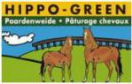 PHILIPS5 Graszaad Hippo-Green (paardenweide) 15 kg Hippo-green, het grasmengsel voor een evenwichtige, sterke paardenweide.

Een paard stelt volgende eisen aan zijn weide:
- het hele jaar door intensieve betreding verdragen;
- snel herstellen van het gras;
- zode moet meer gesloten zijn om het uittrekken van de zode te vermijden;
- smakelijk maar niet te energierijk gras;
- structuurrijk gras geniet de voorkeur.

Hippo-green is samengesteld om aan deze eisen te voldoen.
- Engels raaigras is een zeer smakelijk en productief gras. Het zorgt voor een snelle hergroei van de zode na begrazing of beschadiging.
- Veldbeemd is een gras dat ondergrondse uitlopers vormt en het groeipunt zeer laag bij de grond heeft, waardoor het korte begrazing goed verdraagt.
- Timothee/Lammerstaart heeft een hoge koude resistentie. Het zorgt ervoor dat er na een strenge winter, reeds vroeg in het voorjaar al hergroei is van de grasmat.
- Roodzwenkgras met forse uitlopers zorgt ervoor dat er gedurende het ganse seizoen voldoende structuur is in de graszode.


Weidemengsel voor paarden. Geeft een sterke, korte en propere weide.
Gebruik: 50 kg/ha Hippo-green