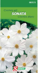 S08373 Cosmos Wit Sonata Eénjarig. Witte bloemen voor border en voor snijbloem. Gemakkelijke teelt. Zaaien in maart-april op kweekbed en ter plaatse planten einde april of einde april-mei ter plaatse zaaien en op een afstand van 40 cm uitplanten. Schitterende witte bloemen die bloeien van in de zomer tot in de herfst.



hoogte :
60 cm Cosmos witte Sonata