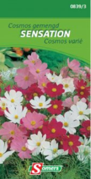 S08393 Cosmos Sensation Gemengd Eénjarig. Frisse tinten, purper tot wit. Grote bloemen. Snijbloemen of hoge borders. Zaaien in maart-april op kweekbed en ter plaatse planten eind april. Eind april-mei ter plaatse zaaien en uitdunnen. Gemakkelijke teelt.



hoogte :
120 cm Cosmos Sensation Gemengd