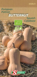 S63203 Be-Bio-02 Pompoen Butternut  Pompoen