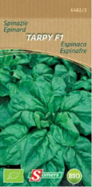 S64823 Be-Bio-02 Spinazie Al Seizoen Tuinderselectie, weinig vatbaar voor ziekten. Donkergroene bladeren geschikt voor najaar en herfst. Breedwerpig zaaien of op regels met 20 cm afstand. Vraagt een vruchtbare en warme grond. Traagopschietende hybride met een groot, stevig ovaal donkergroen blad. Spinazie