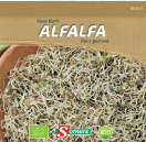 S66283 Be-Bio-02 Kiem Alfalfa Gezonde kiemen steeds bij de hand: zeer rijk aan vitamines, mineralen en enzymen. Strooi gelijkmatig in een kiembakje. Geef water zonder dat de kiemen drijven, ververs het water dagelijks en zorg voor voldoende verluchting. Om goede en lange kiemen te kweken niet in het zonlicht zetten. Voor gebruik enkele malen spoelen. Klaar in 5 dagen. Kiem Alfalfa