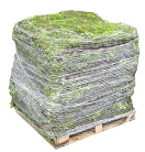 SEDUMMAT Sedummatten De sedummatten worden begroeid met verschillende soorten sedum.
De vetplantjes zijn goed bestand tegen droogte en vergen weinig onderhoud.
Sedummatten worden vaak gebruikt als bodembedekker voor rotondes, bermen,...

Afmeting sedummat: 80 x 120 cm.
Gewicht droog: +/- 10 kg/m².
Gewicht verzadigd: +/- 15 kg/m².
Dikte: 2 tot 4 cm.
Max 40 matten / pallet. Sedummatten